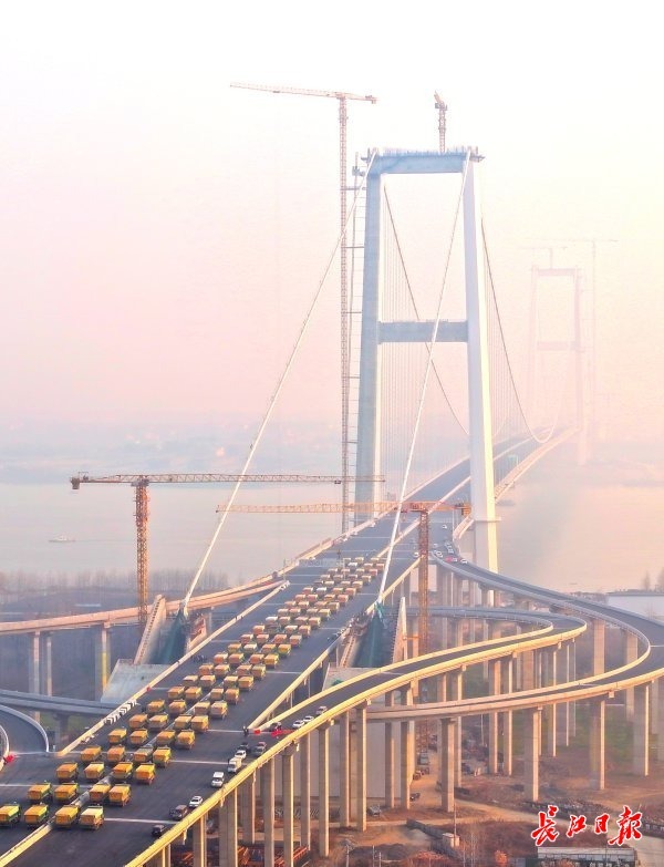 “桥见”武汉“江豚湾”——跨越天堑的生态答卷