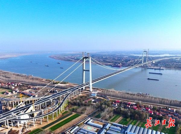 “桥见”武汉“江豚湾”——跨越天堑的生态答卷