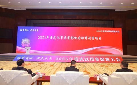 武汉市十大重点招商落户项目公布！长江新区麓洲生态城文旅商综合体项目入选