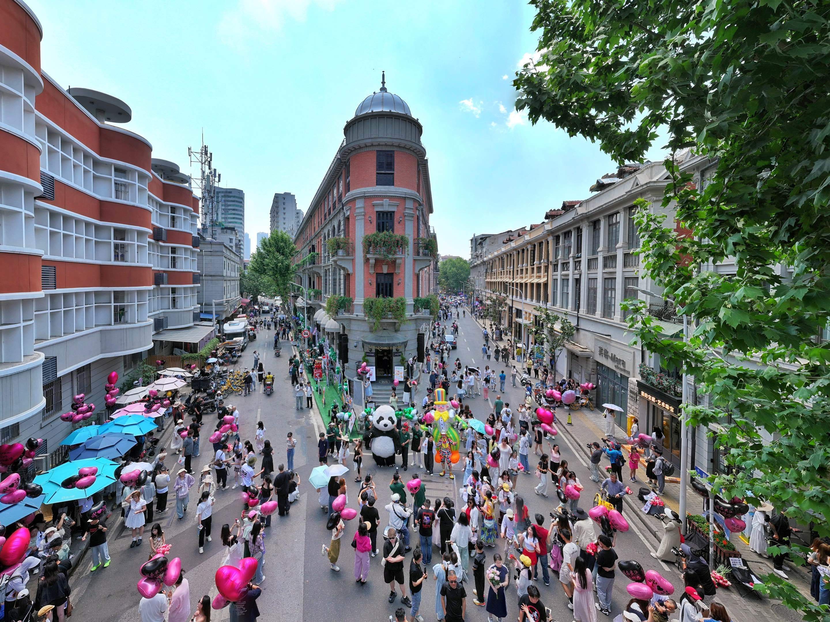 观鸟、赏花、捕鱼、逛市集……元旦假期，武汉这样玩