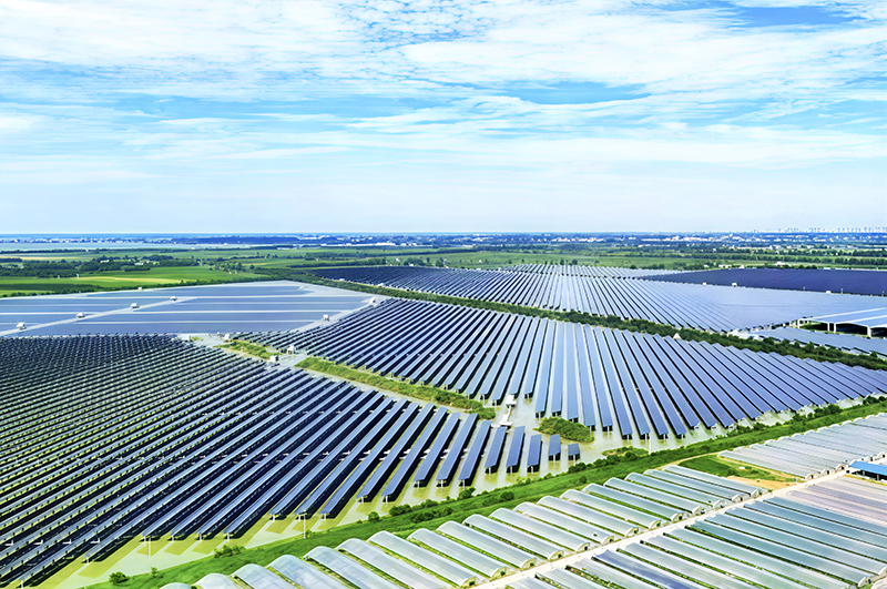 微信图片_20251224144133_114_87.jpg 渔光互补 生态治理 赤壁现代农业产业园打造华中农业标杆