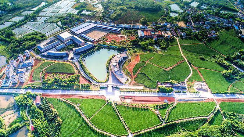 微信图片_20251224144130_113_87.jpg 渔光互补 生态治理 赤壁现代农业产业园打造华中农业标杆