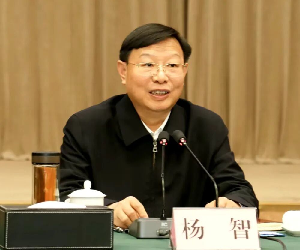 杨智主持召开武汉市推进长江新区建设工作专班专题会议