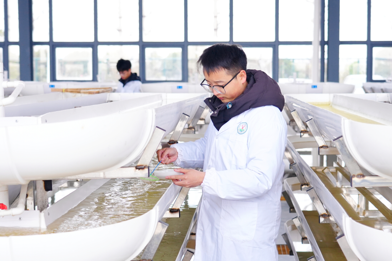 潜江小龙虾育养技术再迎新突破