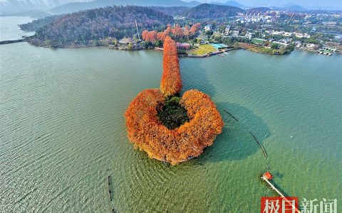 “金汤勺” 舀动东湖碧波