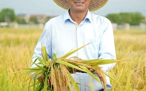 “农民教授”朱仁山四十年坚守一线 他将被判“死刑”的水稻种出百亿价值