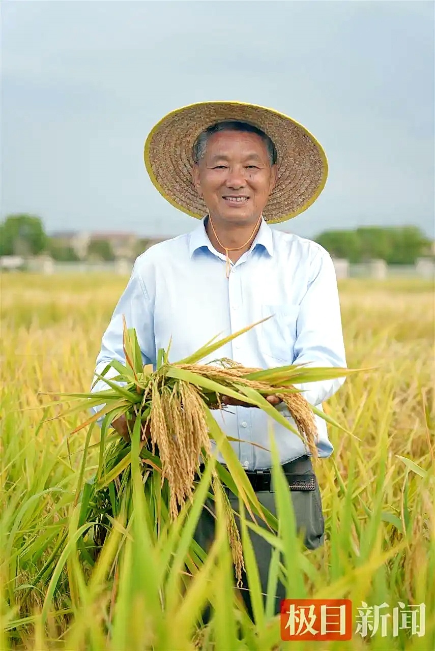 “农民教授”朱仁山四十年坚守一线 他将被判“死刑”的水稻种出百亿价值
