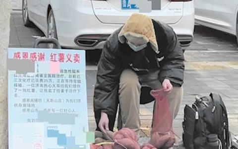 男子因妻子患白血病网络求助 匿名人士分批捐赠10万斤红薯