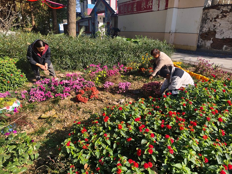 小投入撬动大变化 熊口管理区“微改造”绘就民生新图景
