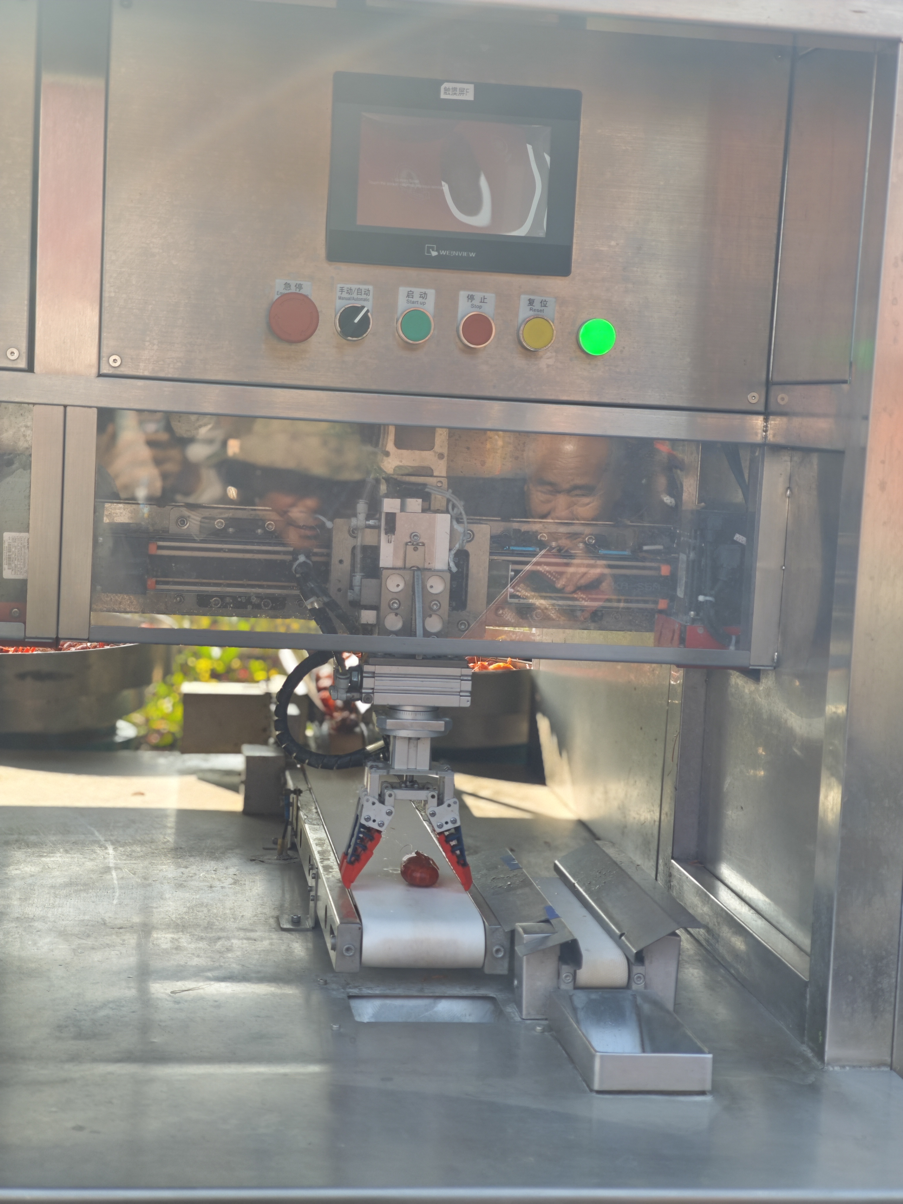 潜江龙虾：这个冬天，我决定不冬眠