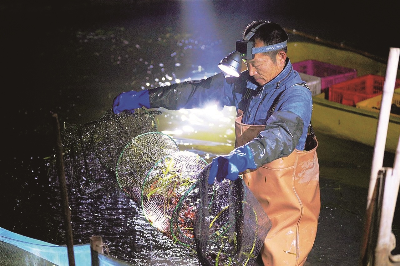 潜江四季有虾四季红,冬虾总产量预计超2.6万吨 一筐筐小龙虾出水就能卖出好价钱