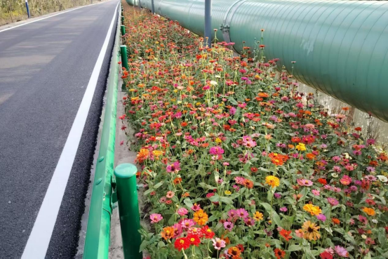 潜江：双轮驱动治水系 一泓清水润乡村