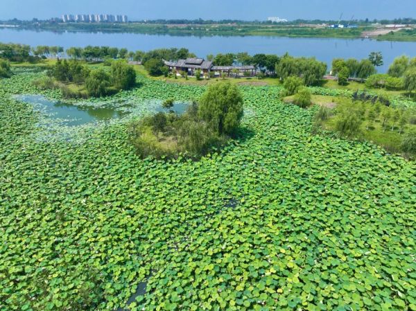 2021至2025 碧湖映城郭，湿地绘新篇
