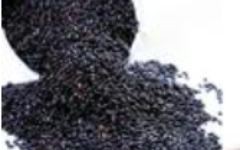 华农在读硕士农村创业 富硒黑米和凤梨萝卜盼销路