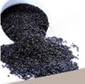 华农在读硕士农村创业 富硒黑米和凤梨萝卜盼销路