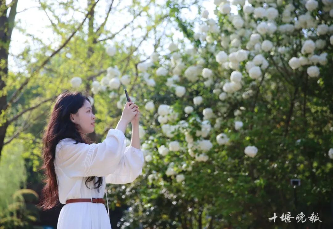 2025年进入倒计时!这些十堰人舍不得删的照片,哪张戳中了你的心?