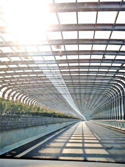 阳光透过隔音屏 忽明忽暗晃眼睛 有市民反映驾车经过友谊大道高架遇光影干扰，存在安全隐患