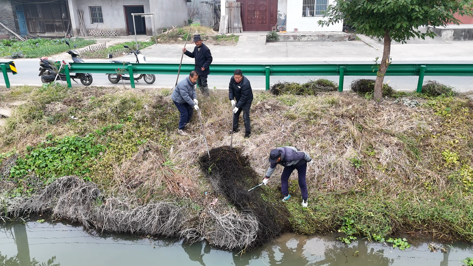 积分“兑”出好生态 泰丰街道绘就河渠共治新画卷