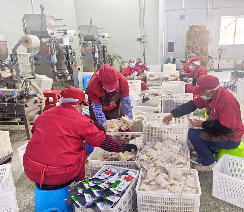 晓飞歌：以创新为翼 赋能潜江特色产业高质量发展