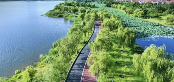 2021至2025 碧湖映城郭，湿地绘新篇