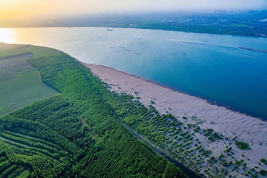 荆州，向绿而兴！