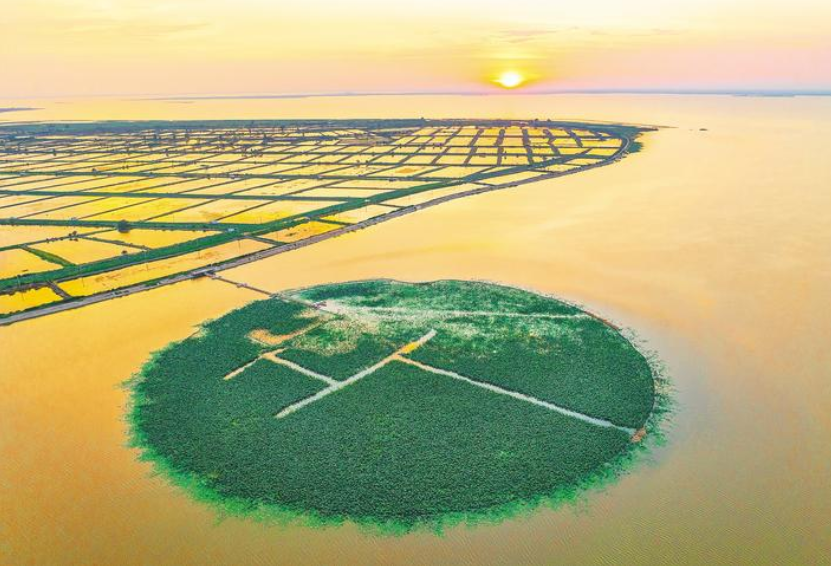 荆州，向绿而兴！