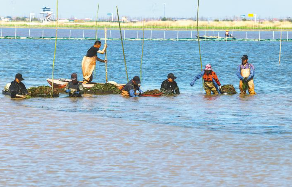 荆州，向绿而兴！