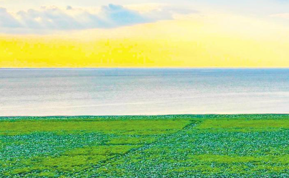 荆州，向绿而兴！