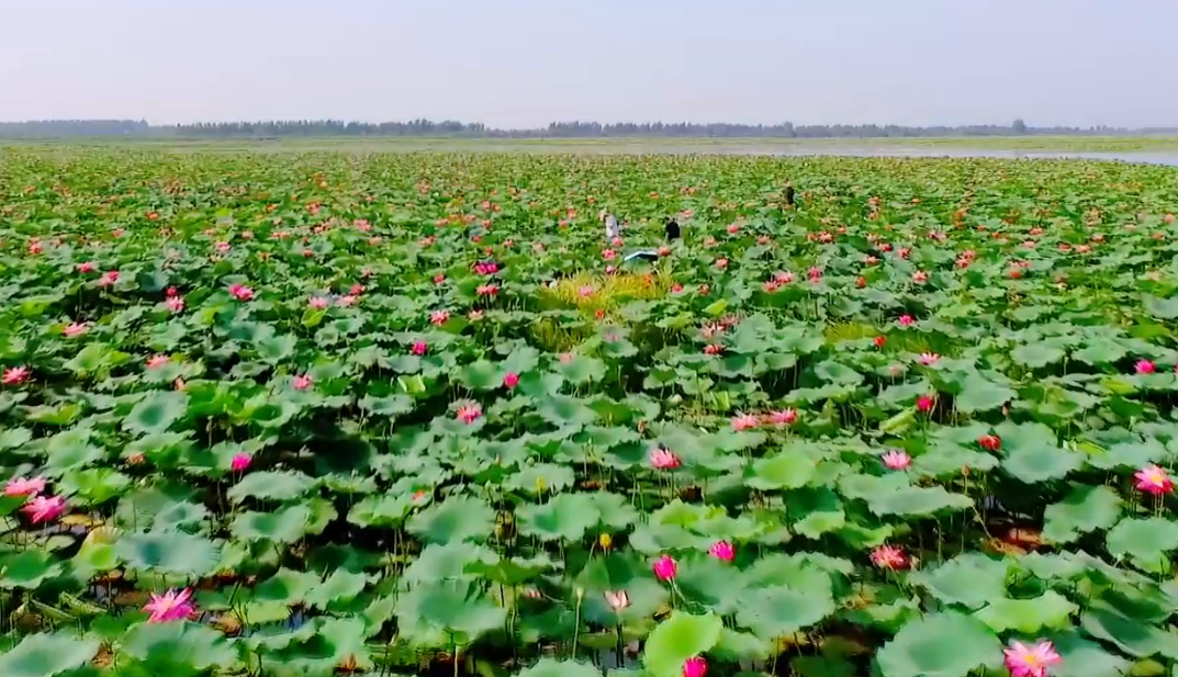 荆江潮涌催奋进，古城焕新启新程！