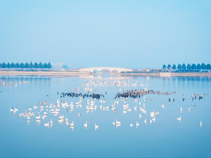 【奋进建支点·市州进行时】持续进位中部百强县 公安县加快打造县域高质量发展先行区