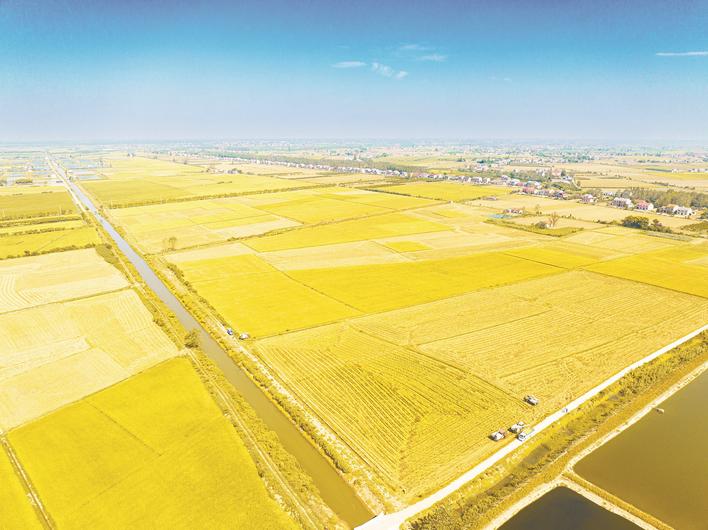 【奋进建支点·市州进行时】持续进位中部百强县 公安县加快打造县域高质量发展先行区