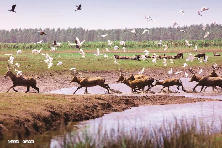 【奋进建支点·市州进行时】勇当两湖平原县域崛起标兵 石首绘就高质量发展昂扬曲线