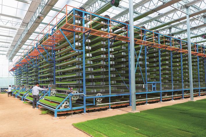 【奋进建支点·市州进行时】勇当两湖平原县域崛起标兵 石首绘就高质量发展昂扬曲线