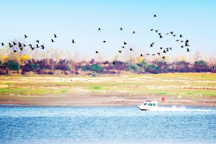 【奋进建支点·市州进行时】控源截污+生态修复+绿色转型 监利绘就洪湖西岸生态新图景