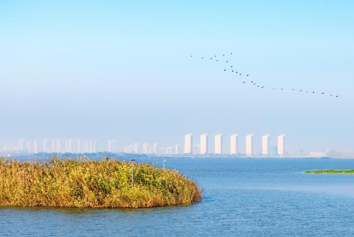 【奋进建支点·市州进行时】建功支点建设 践行文旅担当 纪南文旅区打造楚文化保护传承高地动力澎湃
