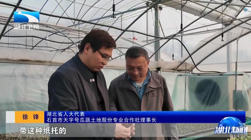 省台聚焦这位石首人：让农业生产从“小而散”走向规模化