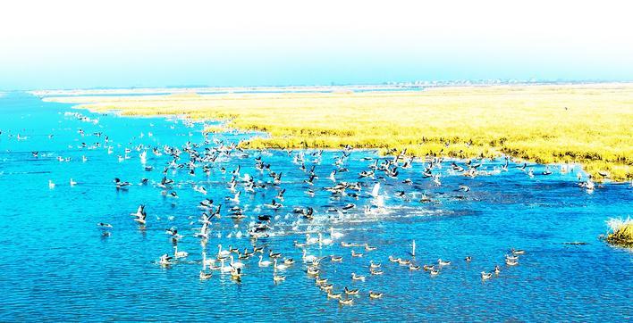 聚焦“控源、截污、活水、修复、转型” 洪湖水质达到“十四五”国家考核标准 进入“保IV争III”新阶段