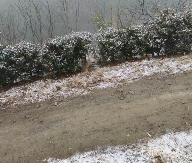 十堰多地降雪,更大的雪在今晚!春节还会下吗?气象资料显示……