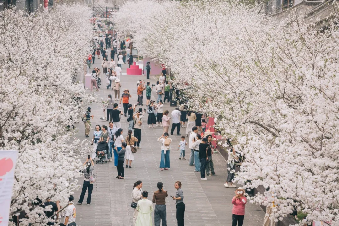 临海频出网红打卡点，解码台州府城的“流量炼金术”