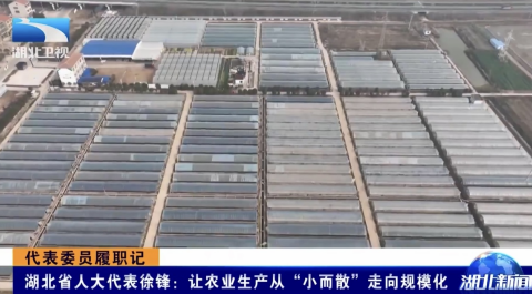 省台聚焦这位石首人：让农业生产从“小而散”走向规模化