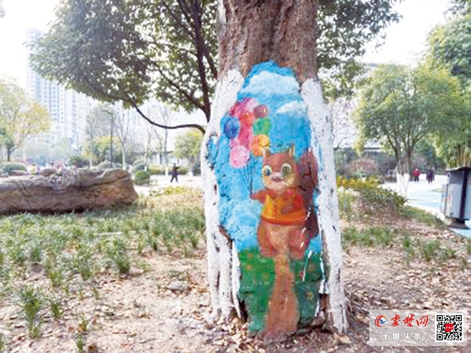 十堰街头惊现“树洞萌宠” 熊猫猫咪松鼠太萌了