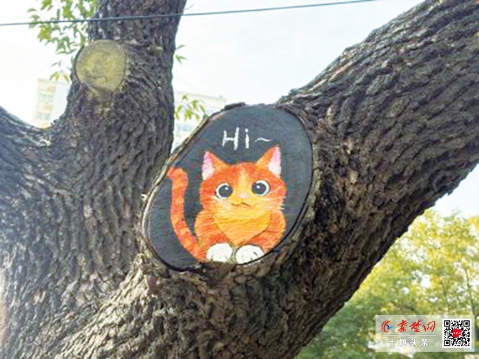 十堰街头惊现“树洞萌宠” 熊猫猫咪松鼠太萌了