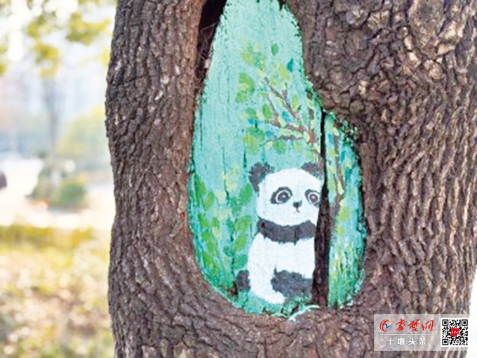 十堰街头惊现“树洞萌宠” 熊猫猫咪松鼠太萌了