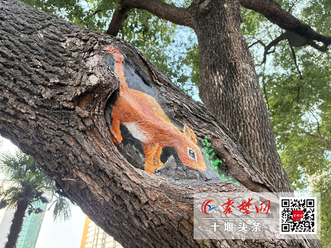 十堰街头惊现“树洞萌宠” 熊猫猫咪松鼠太萌了