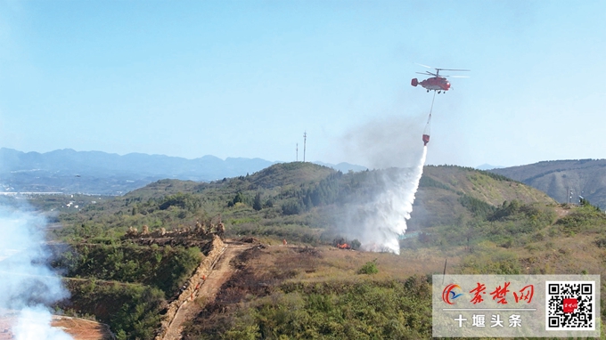 林区用火全面禁止 这份避险指南请收好 遇火情牢记“逆风逃、捂口鼻、速报警”