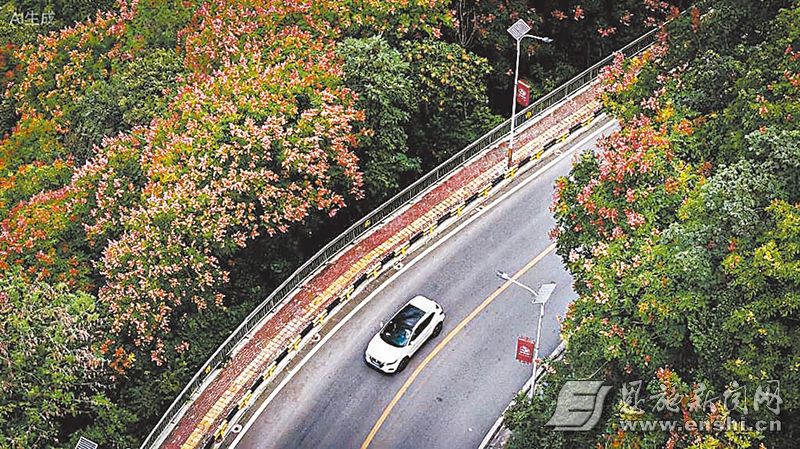 “四好农村路”。（资料图）