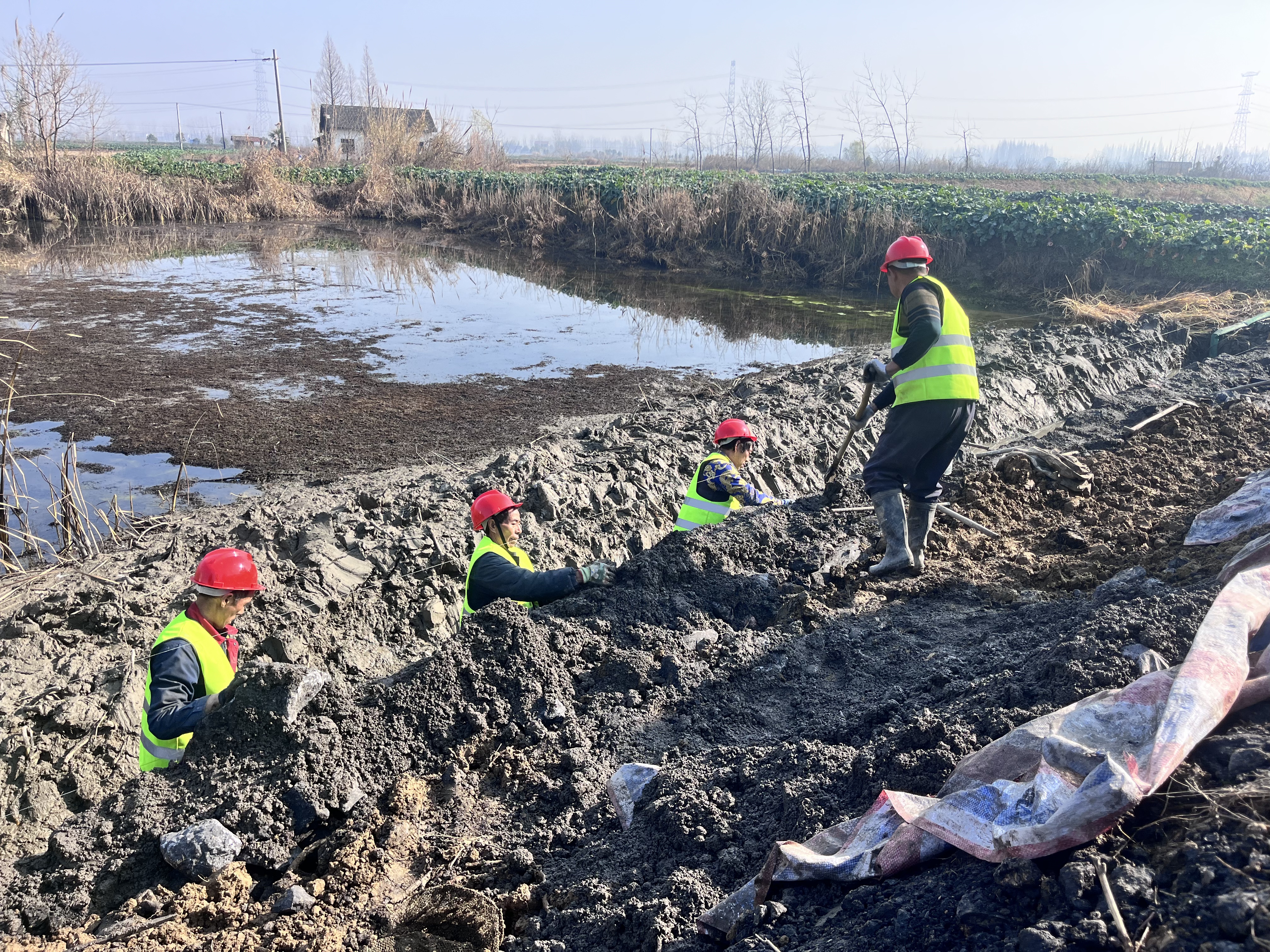 全市高标准农田建设跑好新春“第一棒”