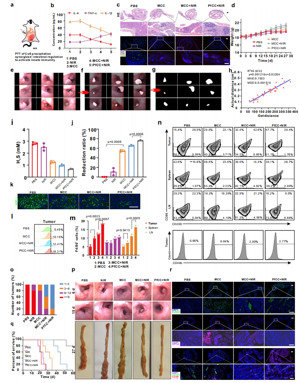 生命学院赵元弟樊锦轩团队联合香港中文大学夏江团队合作开发基于内源性H2S分子的抗菌肽功能化膜伪装策略用于结直肠癌免疫治疗