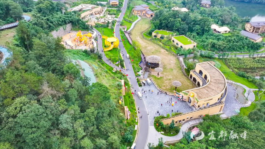 快看~宜都版“疯狂动物城”！