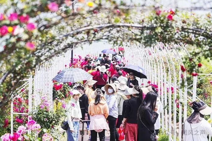 非凡十四五 聚力建支点 | 团风:扬优强能 竞逐建功支点新赛道